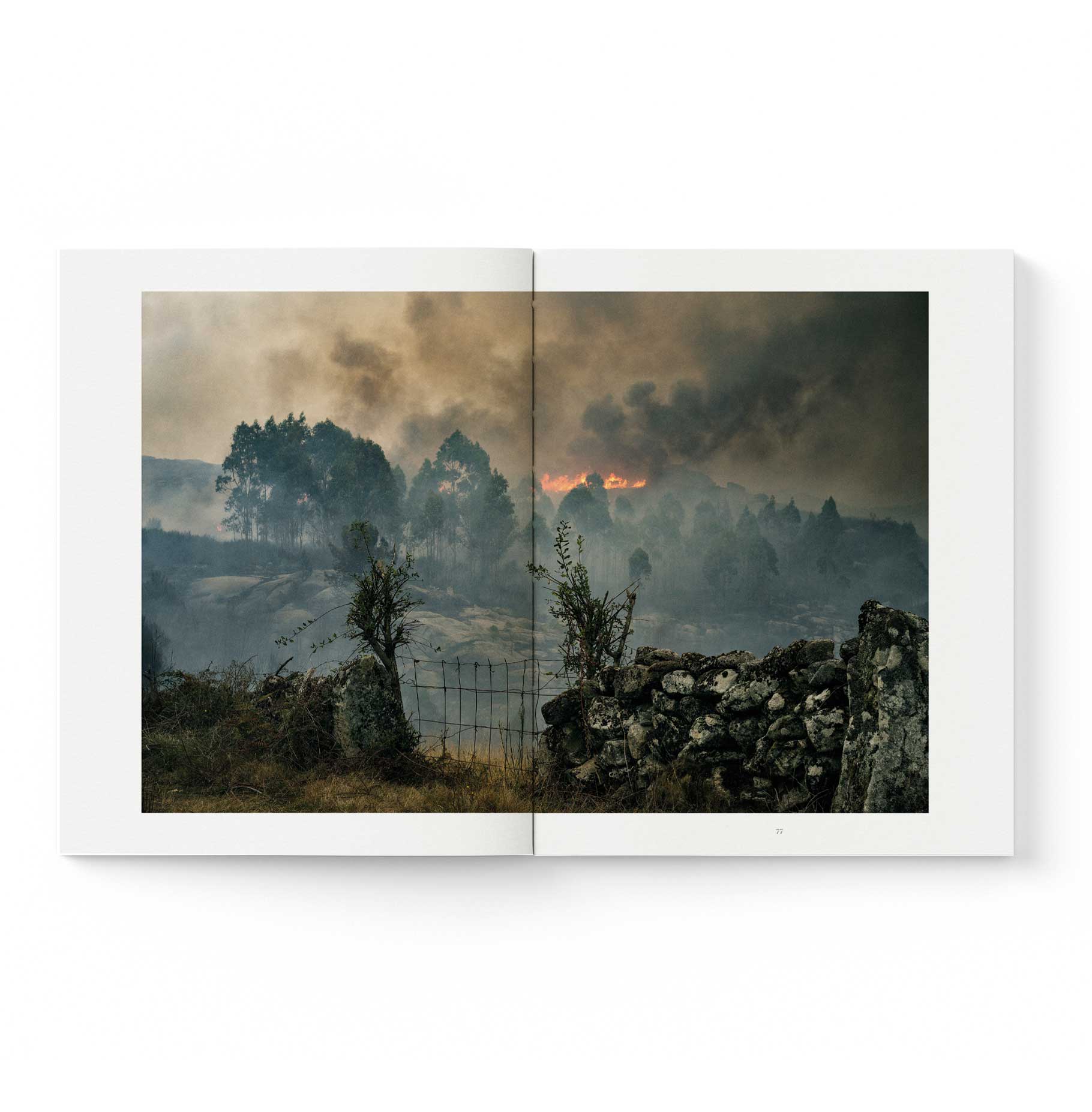 TRAS OS MONTES - Imagen 5